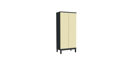 Шкаф ДИКОМ УНО-421 (RAL 7016+RAL 1015)