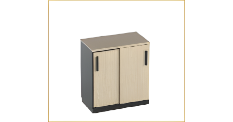 Шкаф архивный малый OASYS ША-80х2-05